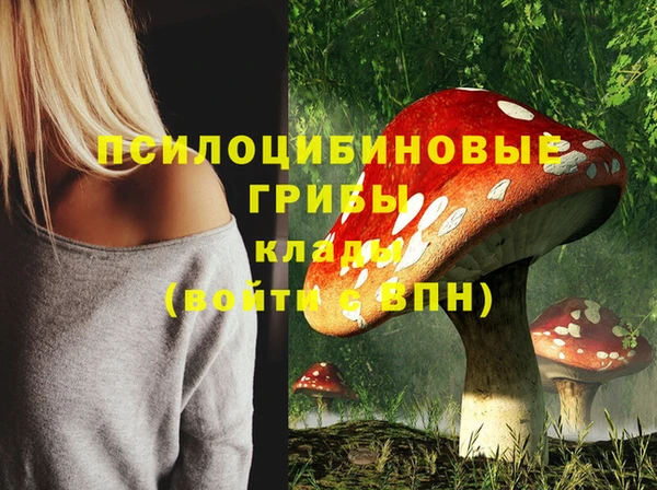 твердый Аркадак
