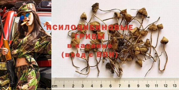 spice Арсеньев