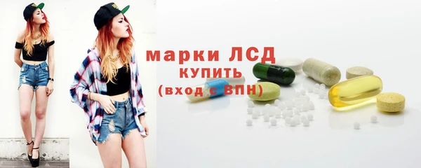 spice Арсеньев