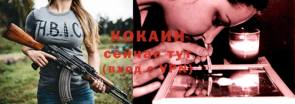 твердый Аркадак