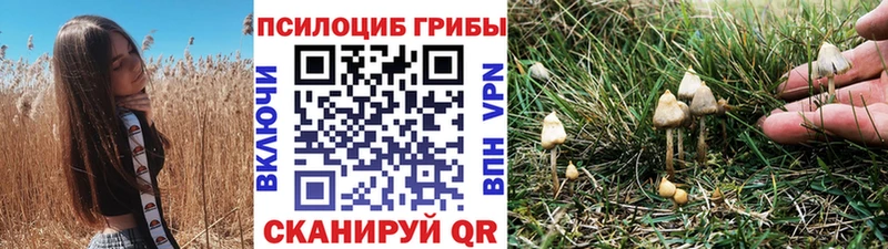 Галлюциногенные грибы ЛСД  Колпашево 